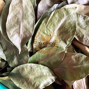 Feuilles de corossol séchées pour tisane, qualité supérieure, feuilles de Graviola naturelles, vente en gros, origine Vietnam, directement de l'usine - Product Image 2
