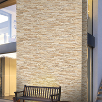 Carreaux muraux et de sol en porcelaine modernes 300x600mm antidérapants à motif profond résistants aux acides pour usage intérieur ACCENTS Architecture Scolaire