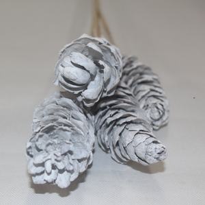 Pigne naturelle botanique longue pour décoration, pigne décorative blanche comme neige pour bouquet, artisanat, cadeau - Product Image 1