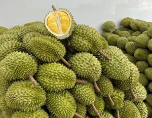 Durian Congelado de Vietnam en Oferta - Disponible con Marca Privada OEM - Product Image 2