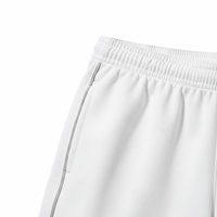 Shorts d'été pour hommes en maille respirante, séchage rapide, pour la gym, le basketball, coupe classique, décontracté, pour la course, vêtements de sport, taille élastique