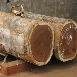 Premium Quality Wenge <b>Logs</b> <b>Eco</b>-friendly Oak Sourced Professional Timber Markets Wholesale Deals Fast Delivery for Household - Product Image 6