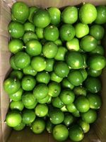 Verse, pitloze limoenen, groen, Vietnam-gewaaid, hoge kwaliteit, merk Blue Lotus, verfrissende smaak, beste exportaanbiedingen.