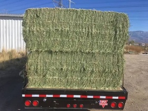Heno de Alfalfa de Grado Alimenticio, Paca de Paja para Ganado, Caballos, Cerdos y Cabras con Proteína, Bolsa de 25 kg, 14% de Humedad, 10% de Aditivos, África - Product Image 3
