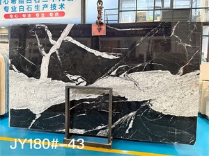 New Polished Natural Stone <strong>Black</strong> with White <strong>Granite</strong> <strong>Slabs</strong> - Product Image 2