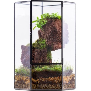 Terrario de Dos Formas Diferentes con Marco Dorado de Metal y Vidrio Transparente, Hecho a Mano en Acero Inoxidable - Product Image 5