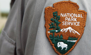 Personnalisez des patchs brodés pour vêtements, patchs brodés thermocollants en forme d'ailes avec découpe laser - Product Image 2