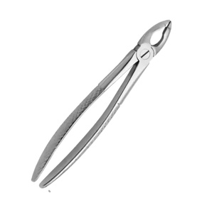 ARISTON INTERNATIONAL Forceps d'extraction dentaire manuels en acier inoxydable de haute qualité, forceps d'extraction pédiatriques Cowhorn CE - Product Image 4