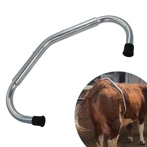Bestselling Reusable Adjustable Kick Stop Cattle Immobilizer Anti-Kick Device Heavy Duty Veterinary Instrument for <b>Cow</b> Farm - Product Image 4