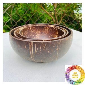 Cuencos de Coco Pulidos Hechos a Mano, Cuencos Naturales para Decoración de Temporada, Centros de Mesa, Colección de Proveedor Mayorista - Product Image 6