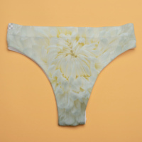 Braguitas de bikini de talle bajo para mujer, tejidas 100% algodón, ecológicas, antibacterianas, para adultos, venta al por mayor a granel.
