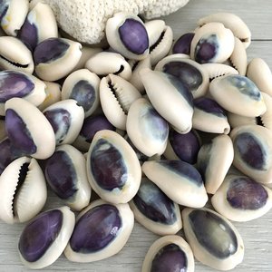 Factory <b>direct</b> price cowrie shells cowry seashells natural sea shell <b>beads</b> for crafting jewelry - Product Image 5