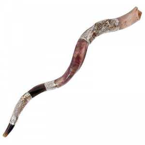 Shofar de moda para niños: explicación del instrumento musical judío shofar, cómo enseñar a tocar shofar, muestra de sonido de shofar - Product Image 3
