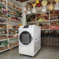 Fruit Freeze Dryer Vacuum Freeze Drying Equipment Electric Heating Motor 304 Stainless Steel 2-3kg Batch