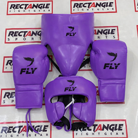 Kit d'entraînement de boxe, équipement de combat MMA, équipement de sparring, gants de frappe, protège-tête, protège-glandes, entraînement de kickboxing