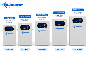 แบตเตอรี่ลิเธียมติดผนัง BLUSENERGY 25.6V 51.2V 100Ah 150Ah 200Ah LiFePO4 ความจุ 2.56kWh 5.12kWh 10.24kWh สำหรับเก็บพลังงานแสงอาทิตย์ภายในบ้าน - Product Image 4