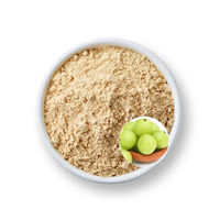100% Zuivere Amla Poeder Hoge Kwaliteit Natuurlijk Amla Fruitpoeder Groothandel Leverancier voor Sap Drank voor Haar Groothandel Leverancier uit India