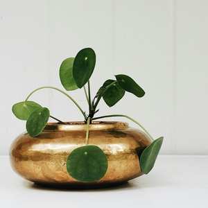 Jardinière décorative en métal pour l'aménagement intérieur, ajoutant un charme botanique et un attrait métallique moderne - Product Image 1