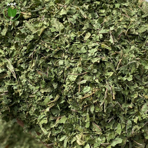 <b>Best</b> Seller AuE Purity Organic 1.5% MIT Thai Herbal Leaf Powder Hot Air Dried 5 Mesh <b>Artificial</b> Planting Khon Kaen OEM Plastic - Product Image 6