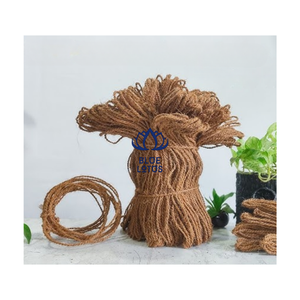 Corde en fibre de coco naturelle, directement de l'usine, en provenance du Vietnam, pour la fixation des arbres, l'emballage, le regroupement et les projets d'artisanat. - Product Image 1