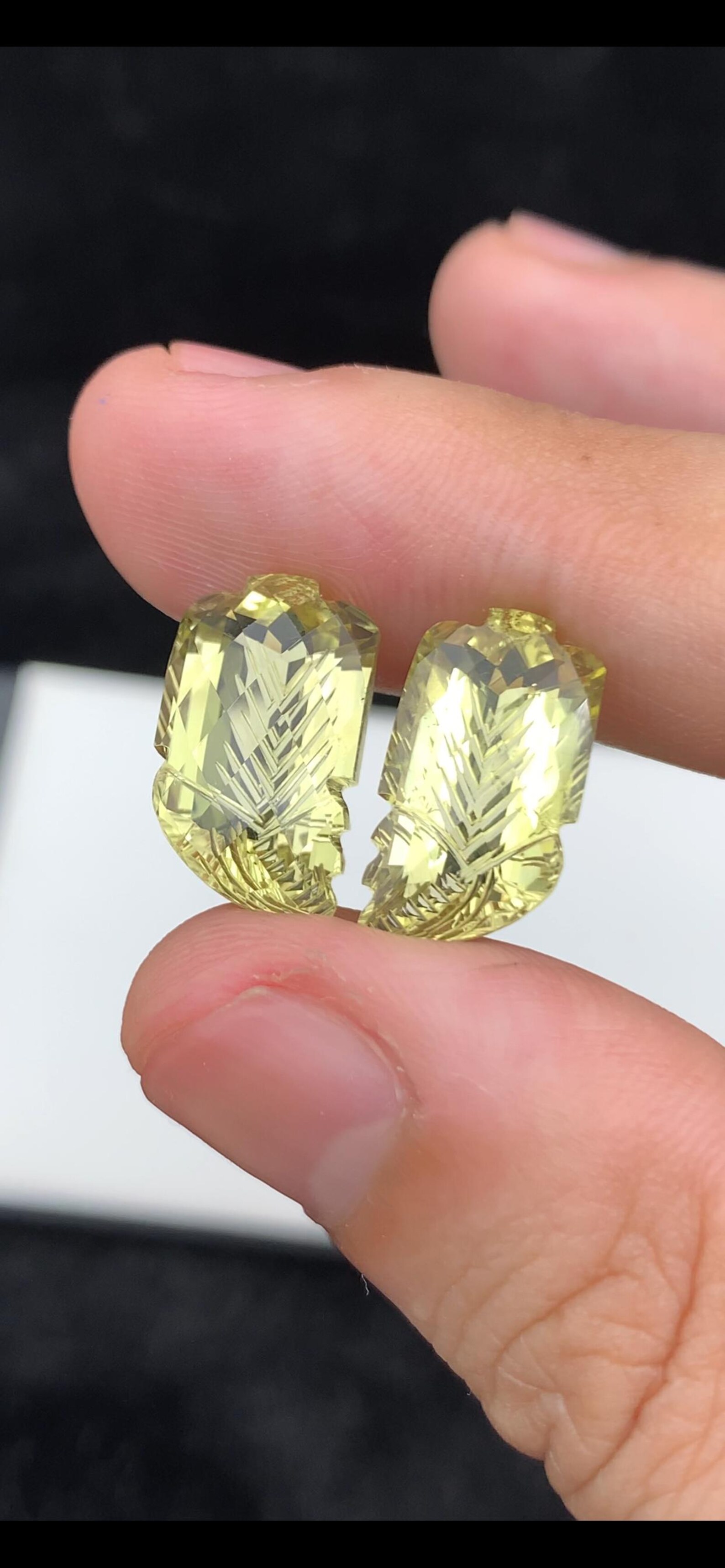Comme sur la photo