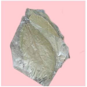 Hojas de Cacao Ecológicas YAMUNA de 11-18 cm (4-7 Pulgadas) para Acuario, Paquete de 24 Hojas - Product Image 5