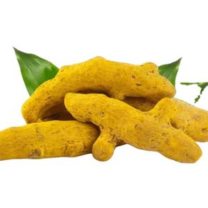 Poudre de curcuma biologique, haute teneur en curcumine, pure et naturelle, pour compléments alimentaires et aliments - Product Image 2