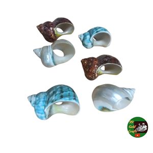 Coastal Style Shell Napkin <b>Rings</b> for Wedding Reception Banquet Event Decoration and Elegant Table Arrangement Supplies - Product Image 1