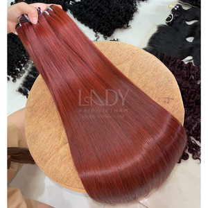 Color recto de hueso sedoso Hight Light de 100% extensiones de cabello humano vietnamita con - Product Image 3