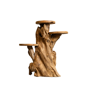 ARTERRA Support de Présentation en Bois Massif Artisanal Rustique en Racine de Teck Bio de Qualité Supérieure pour Décoration Intérieure/Extérieure pour Diwali - Product Image 2