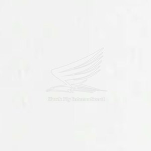 T-shirt décontracté d'été pour femme, en toile légère à manches courtes, couleur personnalisable, 100 % coton respirant – Meilleure vente - Product Image 6