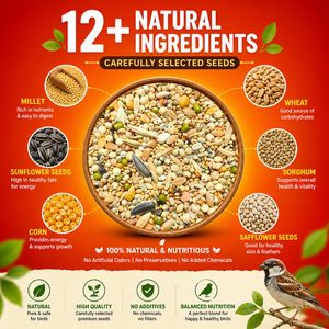 Alimentation pour oiseaux en volière et poulets, mélange de fruits et de graines biologiques, nutrition équilibrée riche en protéines, complément pour soutenir le système immunitaire - Product Image 2