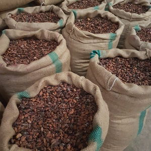 Vente en gros de fèves de cacao de qualité supérieure, stock disponible, meilleure qualité, approvisionnement pour l'exportation - Product Image 3