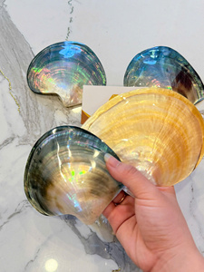 จานเปลือกหอยมุกธรรมชาติสุดหรูสำหรับตกแต่งบ้านและใช้รับประทานอาหาร พร้อมเครื่องประดับอัญมณี ลูกปัดปะการัง - Product Image 3