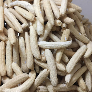 Loofah naturel biologique cultivé au Vietnam, 35-40 cm, entier, pour le corps, style simple, sans produits chimiques, pour le bain et la cuisine - Product Image 1