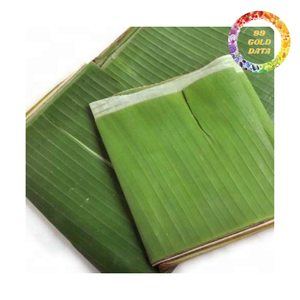 Feuilles de bananier naturelles congelées pour la cuisine traditionnelle et l'emballage alimentaire - Product Image 2