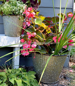 Jardinière Washboard avec poignée Pots de fleurs et jardinières en moka vieilli pour personnalisation de décoration de jardinier de ferme - Product Image 6