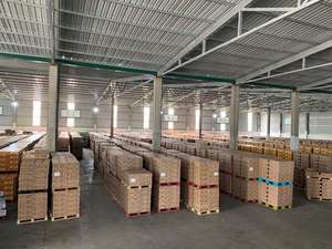 Venta al por mayor Cerveza Camel en lata Mejor precio 330ml Cerveza Alcohólica Lager Stout Cerveza de barril a granel - Product Image 6