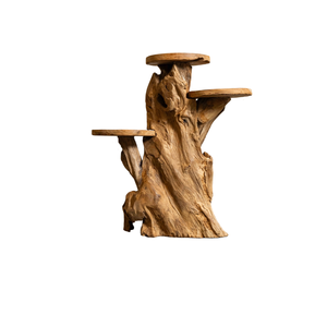 ARTERRA Support de Présentation en Bois Massif Artisanal Naturel Rustique en Racine de Teck Bio Premium pour Décoration Intérieure/Extérieure - Idéal Diwali - Product Image 2
