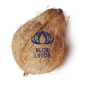 มะพร้าวครึ่งเปลือกพรีเมียมขายดีที่สุด เป็นมิตรต่อสิ่งแวดล้อม ให้ผลผลิตสดใหม่ รสชาติอร่อย - Product Image 1