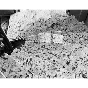 หินแกรนิตอลาสก้าสีขาวพรีเมียม เนื้อละเอียด เหมาะสำหรับงานตกแต่งภายในและภายนอก - Product Image 3