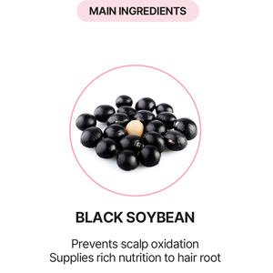Korean Peptide Scalp Serum Hyaluronic Acid Biotin Ampoule rosemary Scalp Nourishing Balancing Care Daily Hair Vitality Serum - Product Image 6