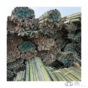 [MEJOR VENTA] |   Varas de bambú cortadas por la mitad para estructuras de cometas, material de construcción de alta resistencia de Vietnam. - Product Image 1