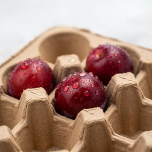 Fruit Packaging Eco-Friendly Anti Break Compostable Molded <b>Pulp</b> Tray Fresh Fruit Tray From Vietnam Manufacturer Paper Boxes - Product Image 5