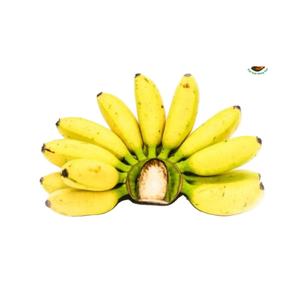 High-Grade Vietnam Siam <b>Bananas</b> <b>Sweet</b> Mini <b>Bananas</b> for Export - Product Image 2