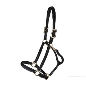 Premium Eco-friendly Durable Leather Horse <b>Halter</b> with Brass Buckle Padded Headcollar for Equestrian Riding - Product Image 4