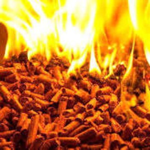 Granulés de bois SEPON pour système de chauffage, source directe, densité 600 kg/m³, diamètre 8 mm, provenance Vietnam, 10 % d'humidité, 4000 J de chaleur, 3 % de cendres - Product Image 4