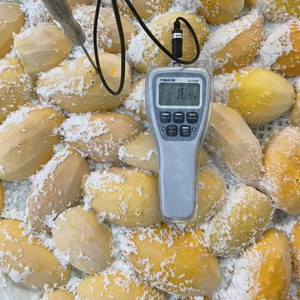 Mango Congelado IQF al por Mayor - Paquete a Granel - Suministro de Fábrica - Product Image 2