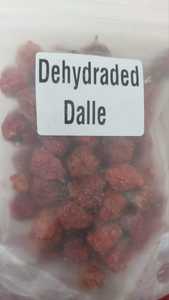 Poivre rouge Dalle Khursani du Sikkim, Inde, avec un arôme fruité distinctif et un SHU élevé - Product Image 4