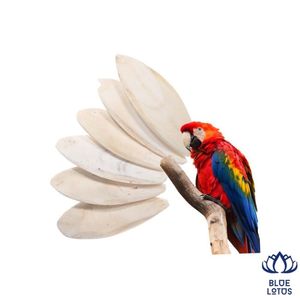Os de Seiche Écologiques de Haute Qualité, Pur et Premium, Très Vendus, Riches en Calcium, Absorption Rapide, Supplément pour Oiseaux - Product Image 1